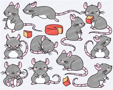 rat kawaii|cute kawaii rats.